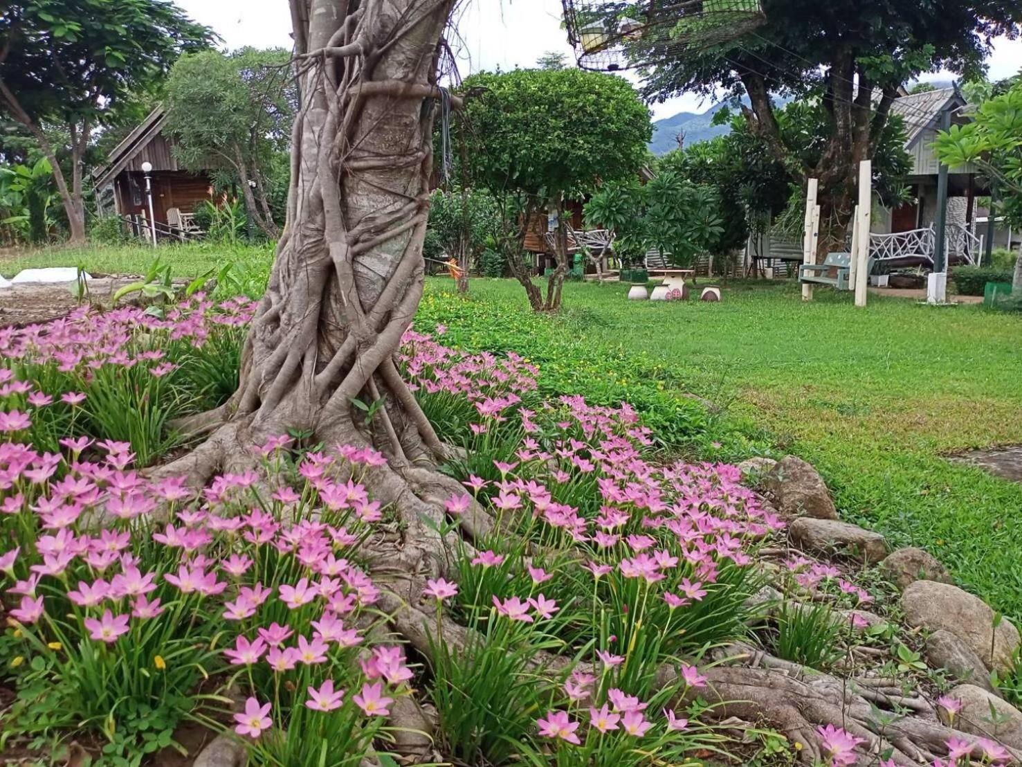 Hotel Pai Seview ปายซีวิว Esterno foto